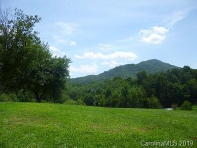 320 Gouges Branch Rd, Leicester, NC 28748 - photo 4