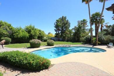 Pool-Grass Area - 7815