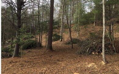 0 Bear Cub Trail unit 284816, Mineral Bluff, GA 30559 - photo 4