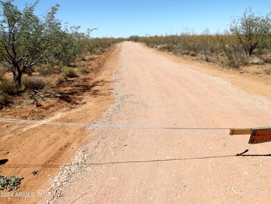 Camino De Mesa 3