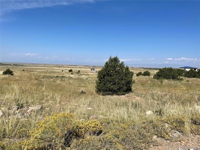 3359 Carefree Way, Crestone, CO 81131 - photo 3