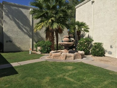GRASS AREA & WATER FALL