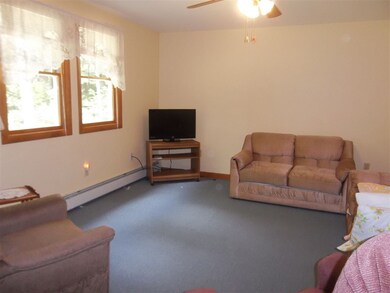 146 Wilkinson Swamp Rd, Effingham, NH 03882 - photo 5