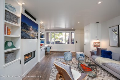 450 S Original St unit 4, Aspen, CO 81611 - photo 4