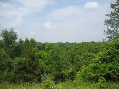 2336 Glensboro Rd, Lawrenceburg, KY 40342 - photo 4