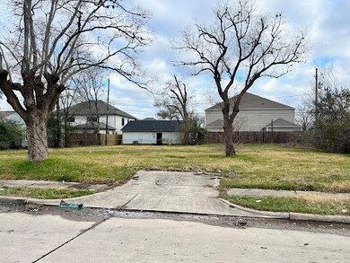 0 Natchez St, Houston, TX 77021 - photo 2