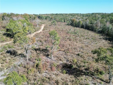 0 Highway 82 N, Eufaula, AL 36027 - photo 3