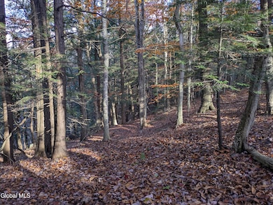 443 Lake Desolation Rd, Middle Grove, NY 12850 - photo 7