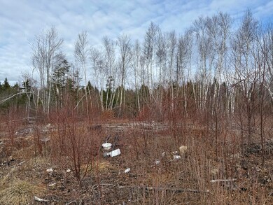 13E Moores Rd, Springfield, ME 04487 - photo 4