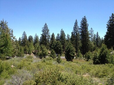 19522 SW Green Lakes Loop, Bend, OR 97702 - photo 6