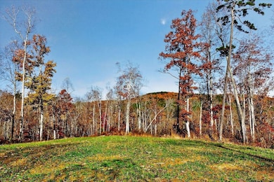 266AC Meadow Lark, Dunlap, TN 37327 - photo 3