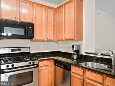 1505 N Point Dr unit 303, Reston, VA 20194 - photo 6