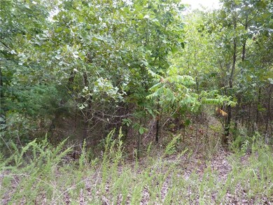 0 Dilly Cir unit 1087772, Bella Vista, AR 72715 - photo 2