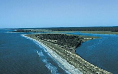 529 Marsh Hen Dr NE, Shellman Bluff, GA 31331 - photo 2