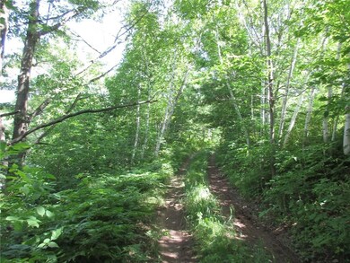 00 Hogback Rd, Chetek, WI 54728 - photo 4