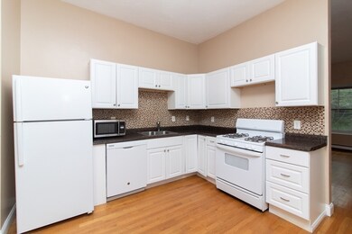 40 Cedar St unit 2, Roxbury, MA 02119 - photo 6
