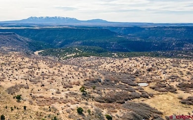 11204 Colorado 141, Egnar, CO 81325 - photo 3