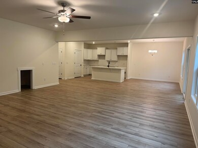 574 Griffon Dr, Chapin, SC 29036 - photo 6