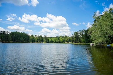 853 Edisto Lake Rd, Wagener, SC 29164 - photo 3