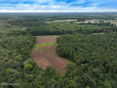 0 Stocking Head Rd, Greenevers, NC 28458 - photo 5