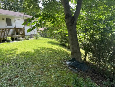 134 Mustang Aly, Coeburn, VA 24230 - photo 3