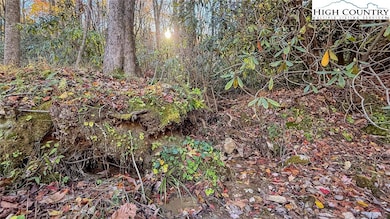 Small stream runs on the left of the property line on lot 170