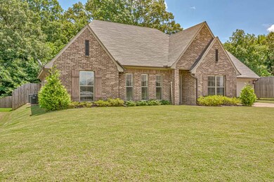 Great Sized, level Lot with a Tree lined Backdrop