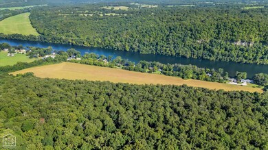 1 Denton Ferry Rd, Flippin, AR 72626 - photo 4