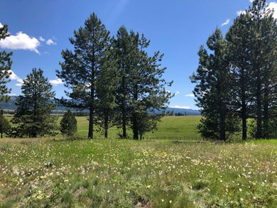Beautiful Wildflowers Blanket This Property