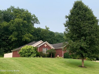 IMG-6158