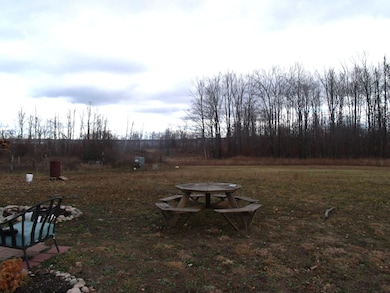 2327 Mcmichael Rd, Tuscarora Township, MI 49706 - photo 3