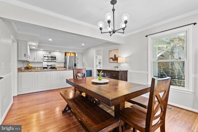 8404 Camden St, Alexandria, VA 22308 - photo 6