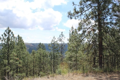 Badger Lot 1&2 Sontag Ridge Ln, Davenport, WA 99122 - photo 5