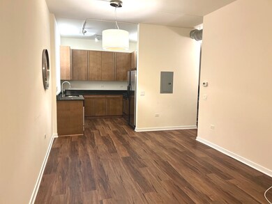 873 N Larrabee St unit 207, Chicago, IL 60610 - photo 5