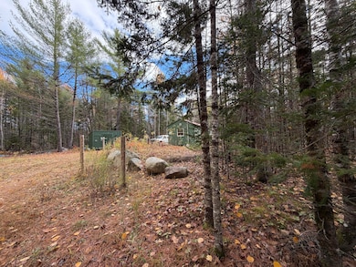 76 Wolf Run Trail, Greenbush, ME 04418 - photo 6