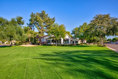 Manicured Lawn