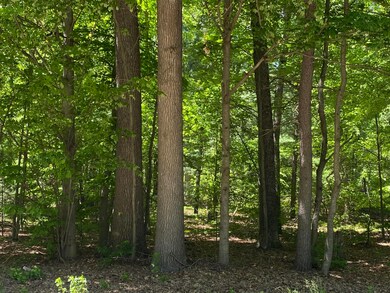 IMG-0951