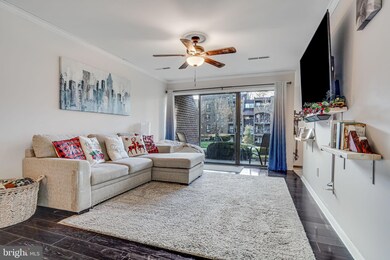 Chestnut Grove Condominiums unit 11236-161, Reston, VA 20190 - photo 3