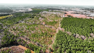 Rt. 659 Jolly Rd, Prince George, VA 23842 - photo 3