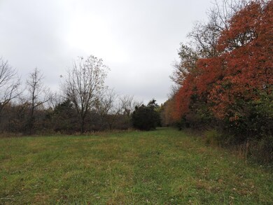 Lot 1-2-3 Drake Ridge Rd, Bloomfield, KY 40008 - photo 4