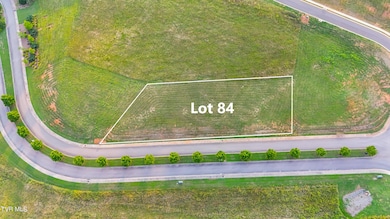 DJI_20240727194715_0576_D