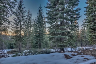 0 Prather Meadow Rd unit 225152963, Twain Harte, CA 95223 - photo 3