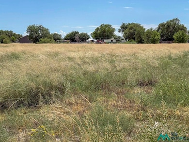 00 Ocotillo Ave, Roswell, NM 88201 - photo 4