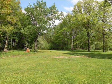Yard/Garden.