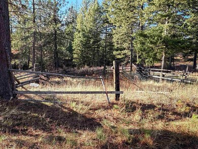 TBD Olinger (Hammer) Rd, Springdale, WA 99173 - photo 7