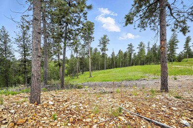 TBD Other unit Lot 24 Block 5 Trail, Lead, SD 57754 - photo 3