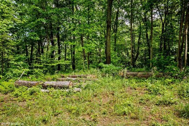 lot 7 N Fail Rd, La Porte, IN 46350 - photo 3