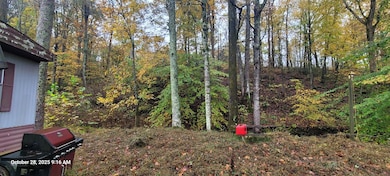 1121 Breeding Rd, Edmonton, KY 42129 - photo 6