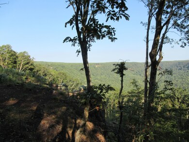 0 High Point Ln unit RTC2725042, Jasper, TN 37347 - photo 2