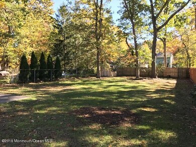 backyard (2)